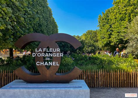 jardin tuileries chanel